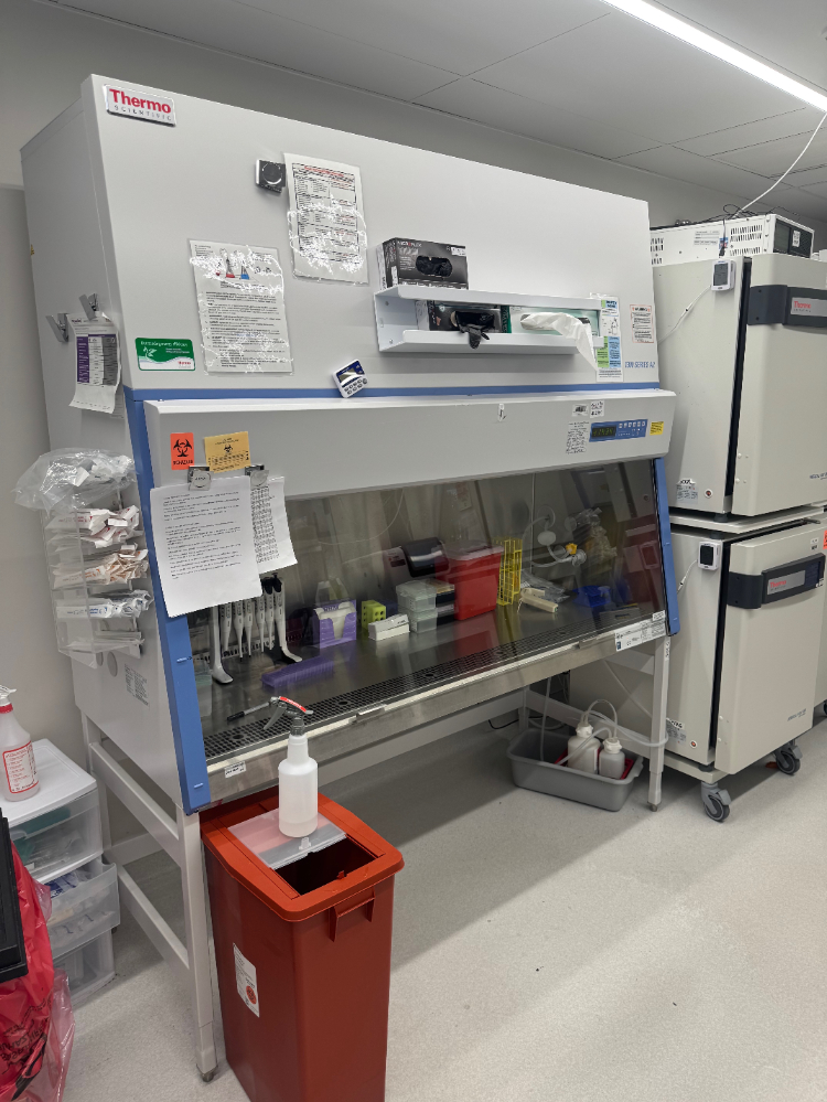 Image of Thermo 1300 Series A2 6' Biosafety Cabinet